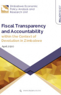 FiscalTransparencyPolicyBrief