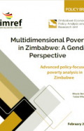 poverty and gender